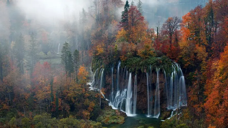 智能系统智慧独特